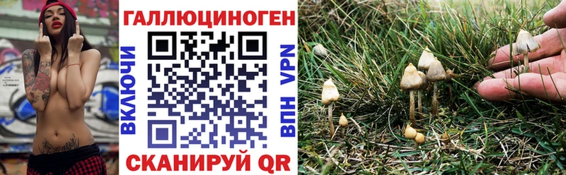 Галлюциногенные грибы прущие грибы  Горячий Ключ 